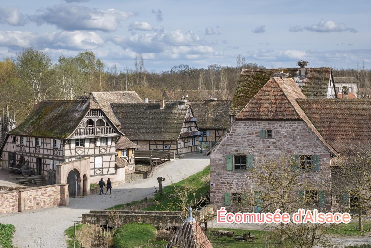 Entre Ville Et Vignes - Gite Classe 3 Etoiles Інгерсгайм Екстер'єр фото