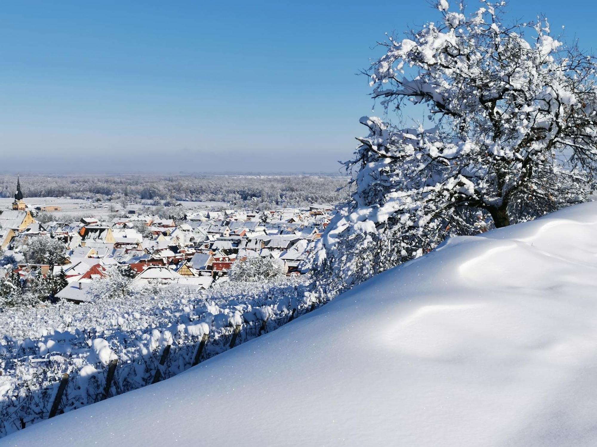 Entre Ville Et Vignes - Gite Classe 3 Etoiles Інгерсгайм Екстер'єр фото